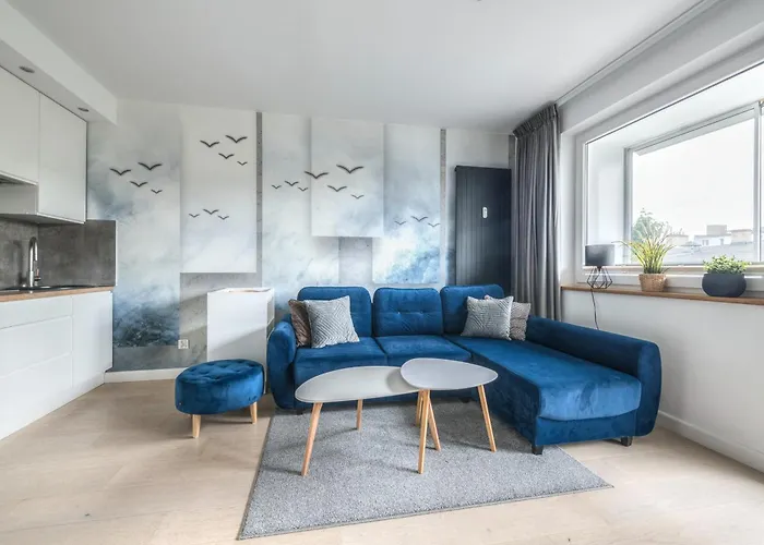 Navy Blue By Northside Sopot